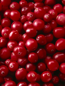 Cranberries --- Image by © Royalty-Free/Corbis